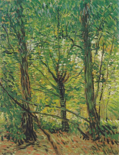 Trees and Undergrowth by Vincent van Gogh